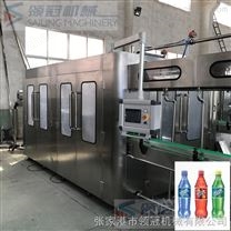 PET瓶碳酸飲料灌裝生產(chǎn)線