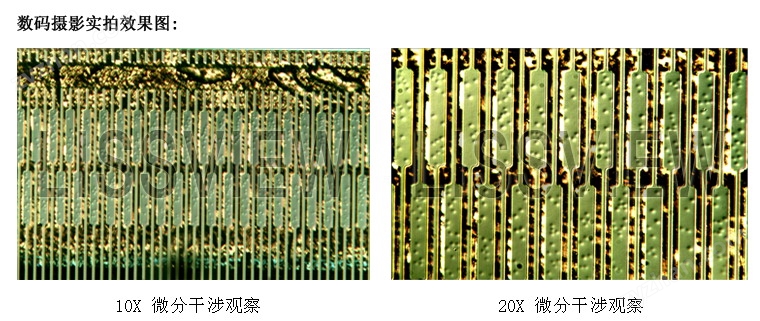 MDIC-100微分干涉數(shù)碼顯微鏡