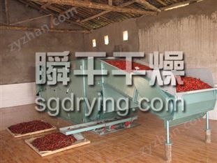 DWC系列脫水蔬菜帶式干燥機(jī)