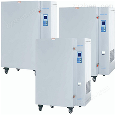 高溫鼓風(fēng)干燥試驗(yàn)箱 鼓風(fēng)干燥設(shè)備